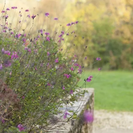 La Floridienne Holiday home La Cassagne